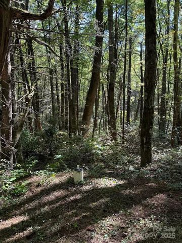 1 Bear Log Road, Cashiers, NC 28717