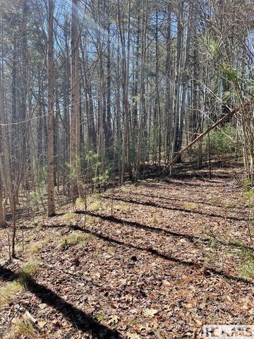 1 Bear Log Road, Cashiers, NC 28717