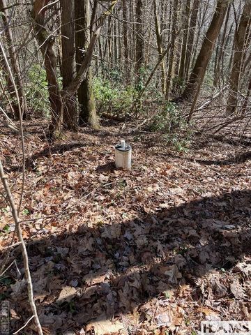 1 Bear Log Road, Cashiers, NC 28717