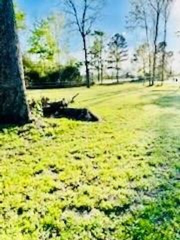 13881 Park Ave, Conroe, TX 77384