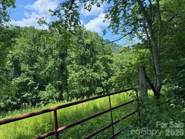 224 Allen Drive, Marshall, NC 28753