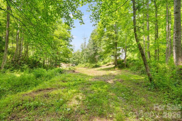 224 Allen Drive, Marshall, NC 28753