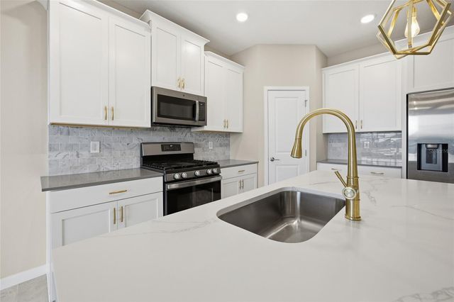 1131 DORA PARC LANE, Mount Dora, FL 32757