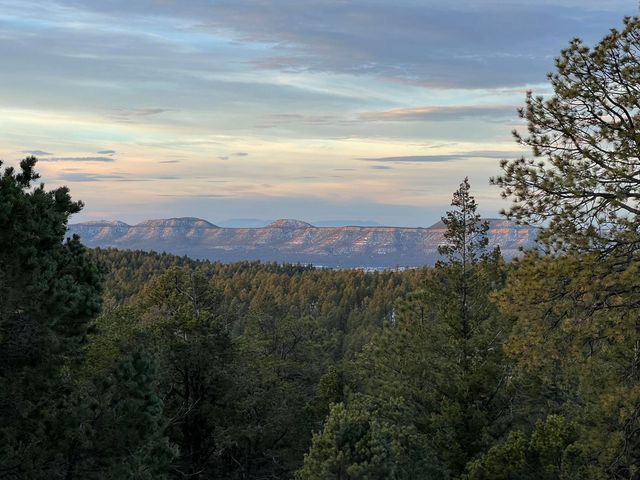 387 County Rd B64, Pecos, NM 87552