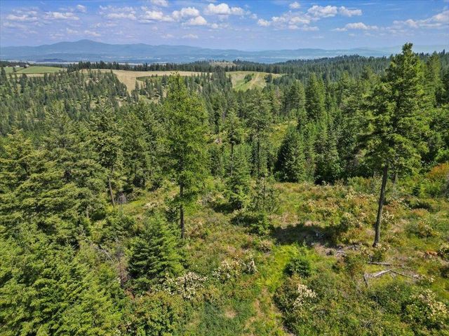 NKA N Moose Drool Ln, Spokane, WA 99208