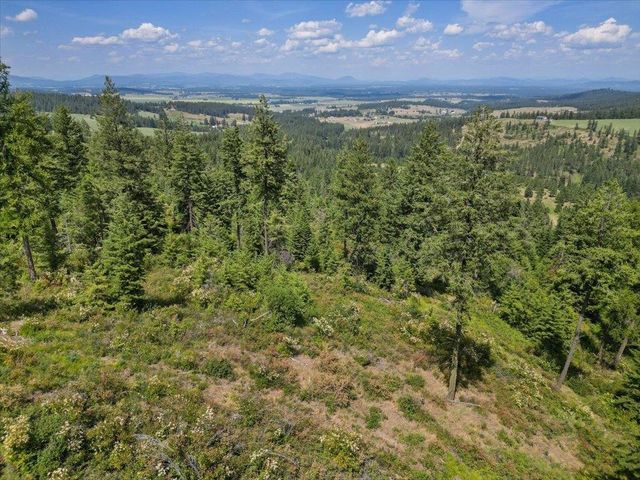 NKA N Moose Drool Ln, Spokane, WA 99208