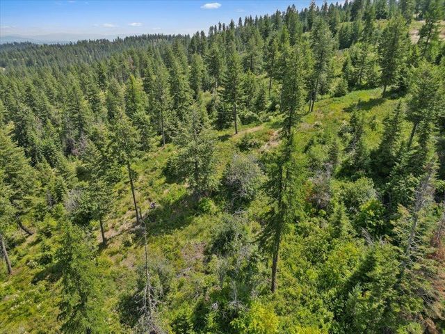 NKA N Moose Drool Ln, Spokane, WA 99208