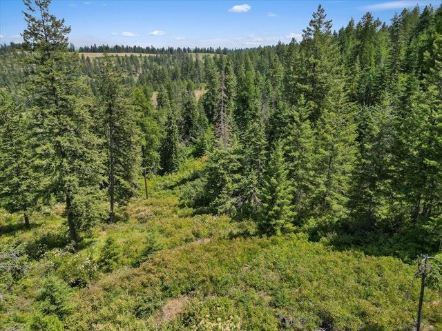 NKA N Moose Drool Ln, Spokane, WA 99208