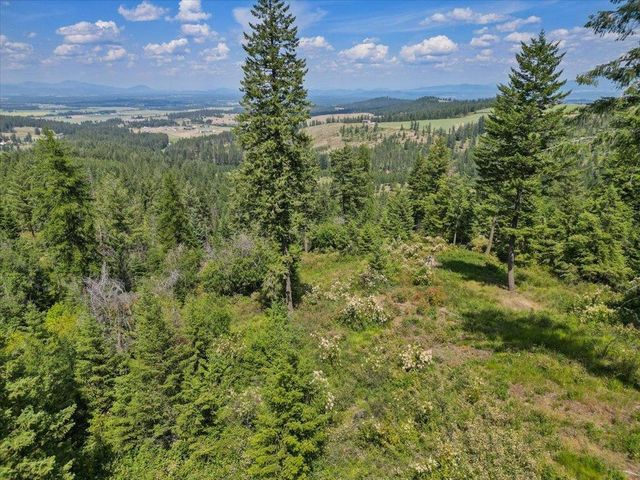 NKA N Moose Drool Ln, Spokane, WA 99208