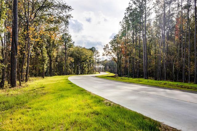 22290 Junction Peak Drive, Porter Heights, TX 77365