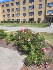6670 S Brainard Avenue 404, Countryside, IL 60525
