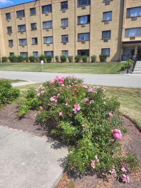 6670 S Brainard Avenue 404, Countryside, IL 60525