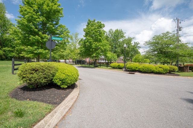 1036 Wilderness Way, Cottontown, TN 37048