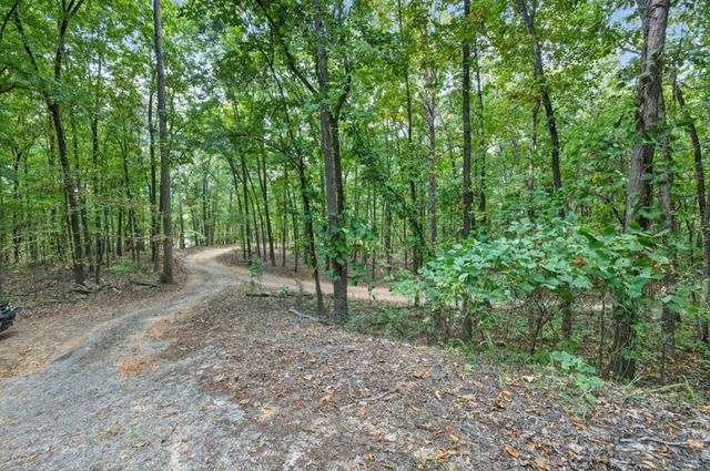 256 Robin Hood Lane, Fairmount, GA 30139