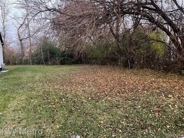 13946 Braile Street, Detroit, MI 48223