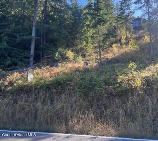 NNA Hwy 97, Harrison, ID 83833