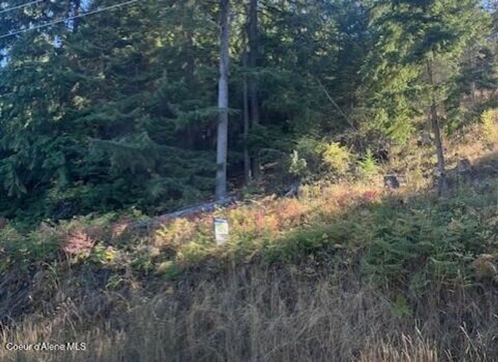 NNA Hwy 97, Harrison, ID 83833 photo 2