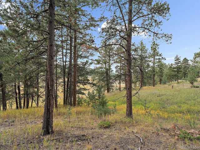00 Cragmont, Evergreen, CO 80439