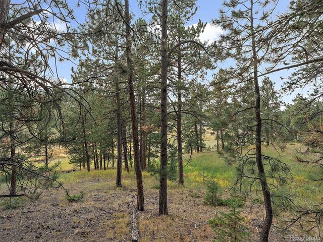 00 Cragmont, Evergreen, CO 80439