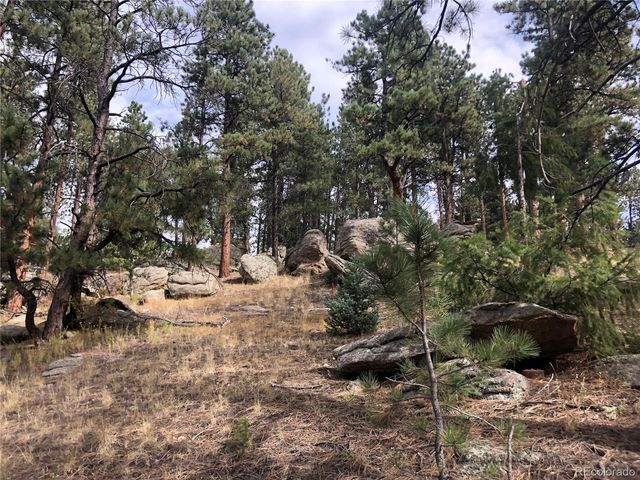 00 Cragmont, Evergreen, CO 80439