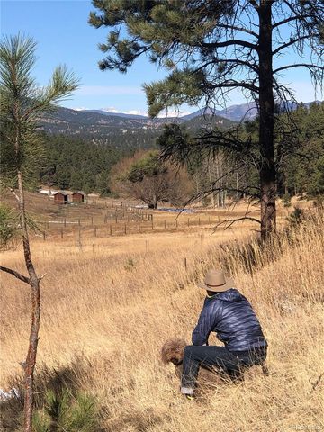 00 Cragmont, Evergreen, CO 80439