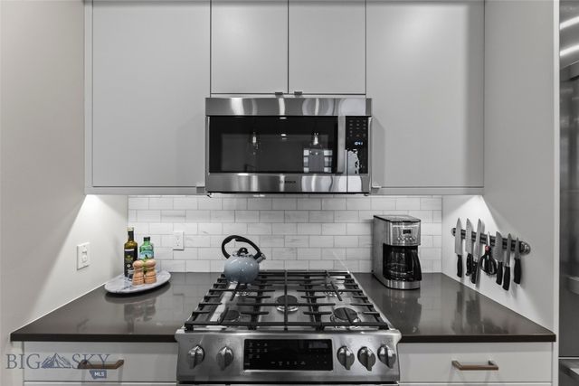 5 W Mendenhall 415, Bozeman, MT 59715