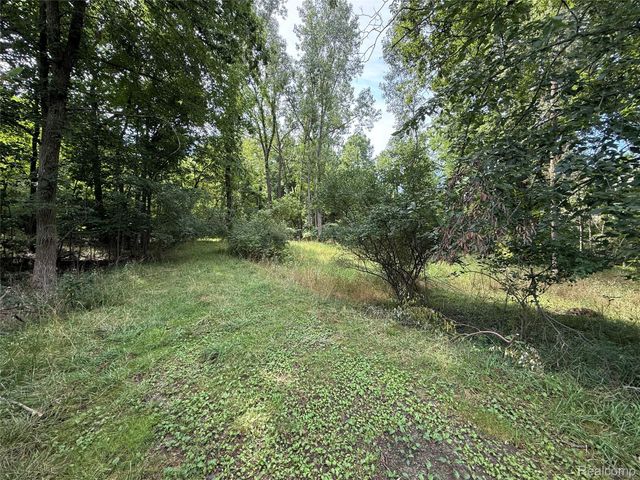 Lot 66 Preserve Drive, Tyrone Township, MI 48430