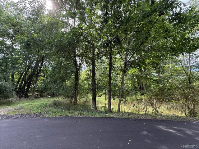 Lot 66 Preserve Drive, Tyrone Township, MI 48430