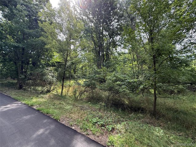 Lot 66 Preserve Drive, Tyrone Township, MI 48430
