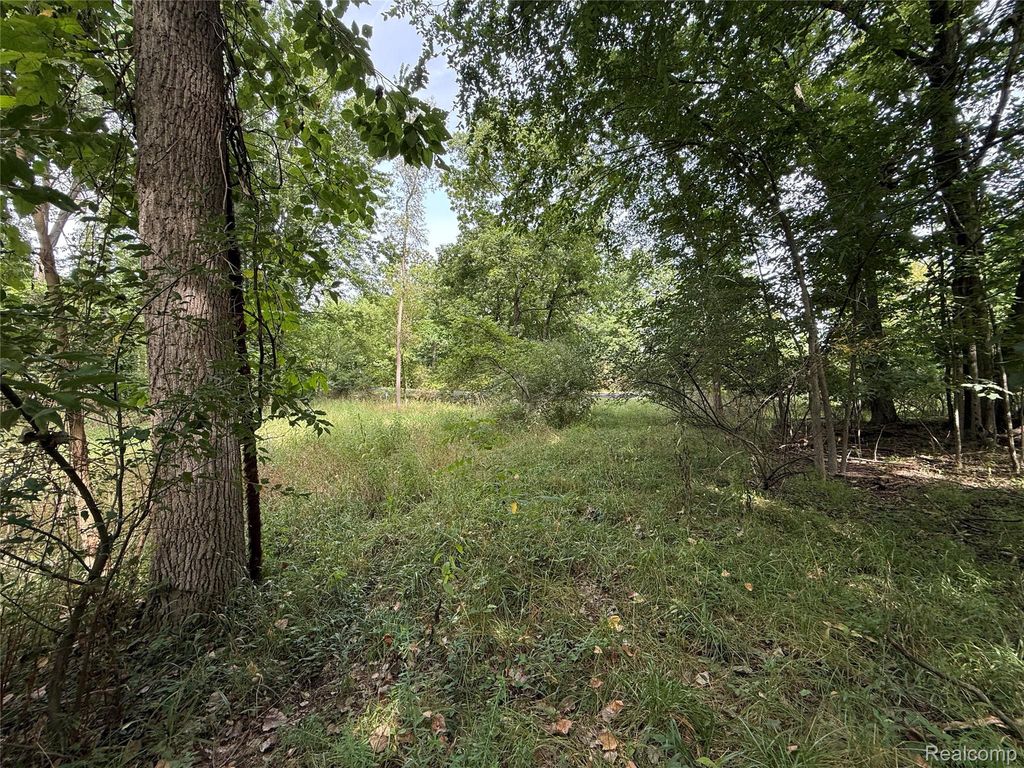 Lot 66 Preserve Drive, Tyrone Township, MI 48430