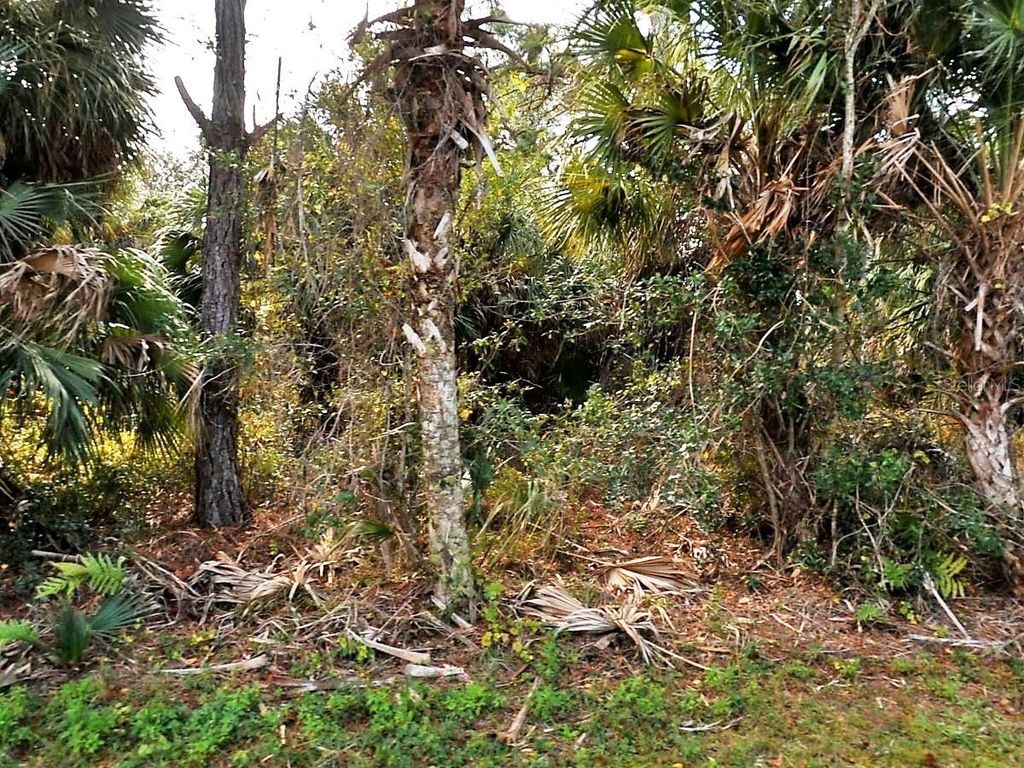 VOGLER LANE, North Port, FL 34286