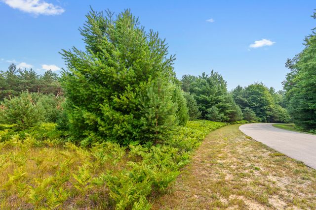 323 Blue Heron Drive SE, Kalkaska, MI 49646