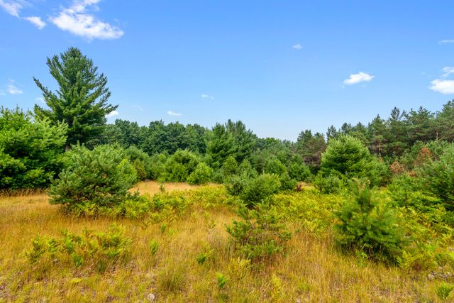 323 Blue Heron Drive SE, Kalkaska, MI 49646