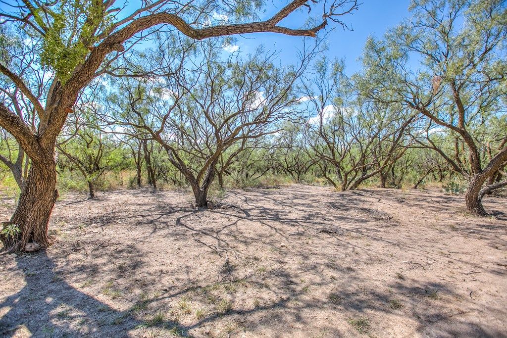 Image 36 of property listing at 6191 Loretta Dr, Christoval, TX 76904