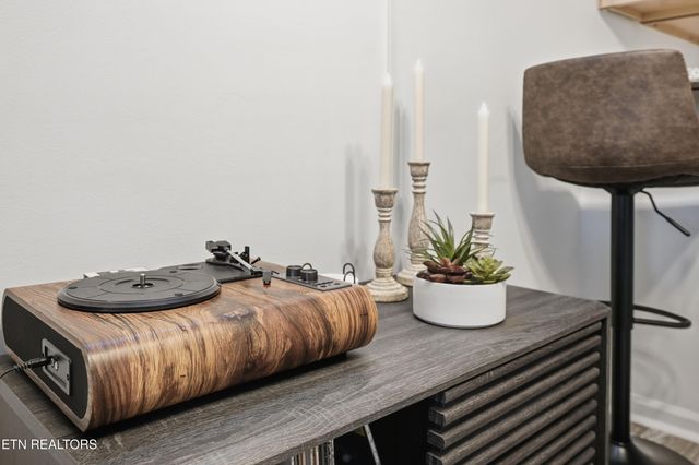 616 Turkey Nest Rd 209, Gatlinburg, TN 37738