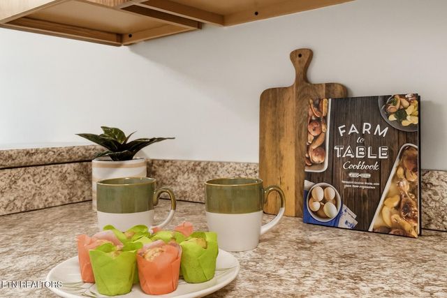 616 Turkey Nest Rd 209, Gatlinburg, TN 37738