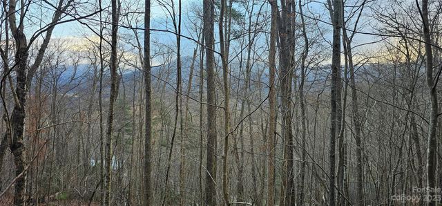 4 Lots Seay Mountain Road, Waynesville, NC 28785