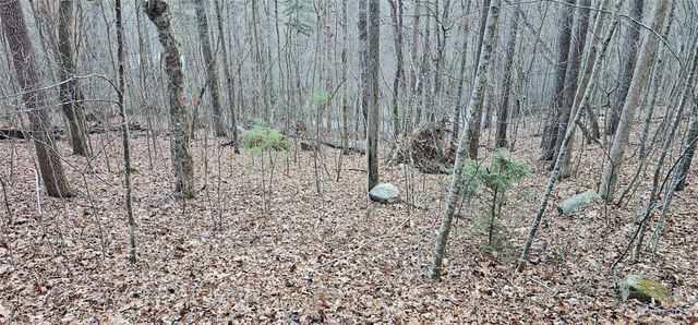 4 Lots Seay Mountain Road, Waynesville, NC 28785