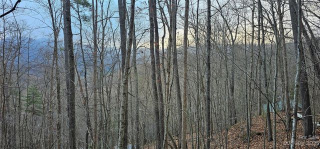 4 Lots Seay Mountain Road, Waynesville, NC 28785