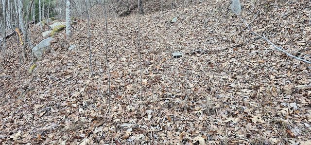 4 Lots Seay Mountain Road, Waynesville, NC 28785