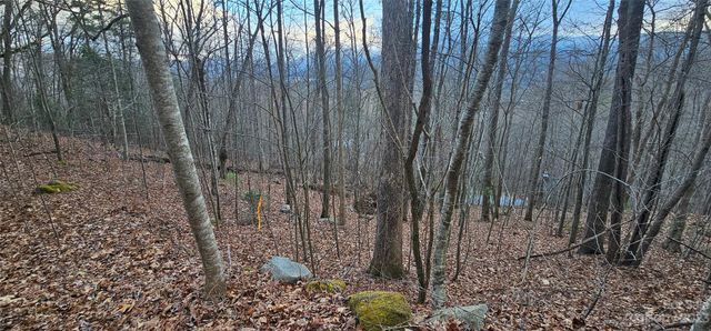 4 Lots Seay Mountain Road, Waynesville, NC 28785