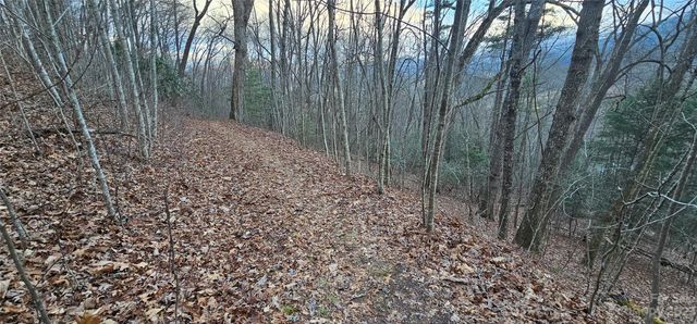 4 Lots Seay Mountain Road, Waynesville, NC 28785