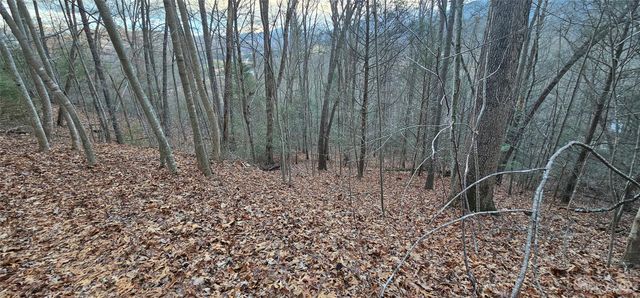 4 Lots Seay Mountain Road, Waynesville, NC 28785