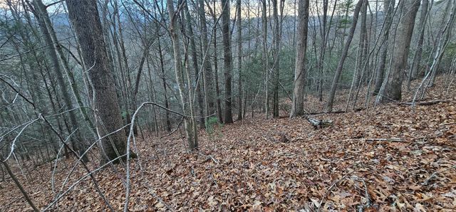 4 Lots Seay Mountain Road, Waynesville, NC 28785