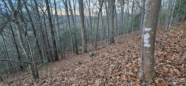 4 Lots Seay Mountain Road, Waynesville, NC 28785