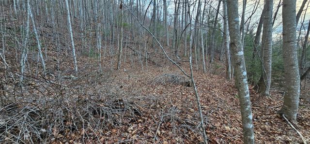 4 Lots Seay Mountain Road, Waynesville, NC 28785