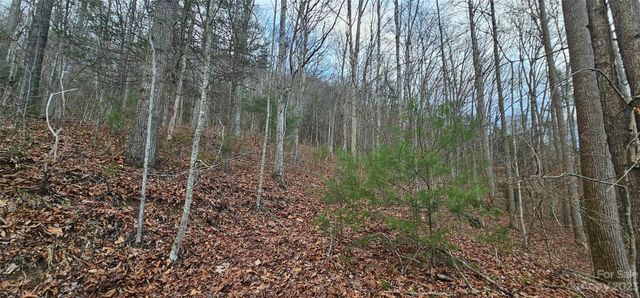4 Lots Seay Mountain Road, Waynesville, NC 28785