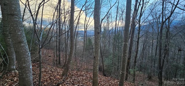 4 Lots Seay Mountain Road, Waynesville, NC 28785