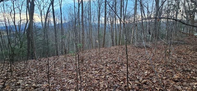 4 Lots Seay Mountain Road, Waynesville, NC 28785
