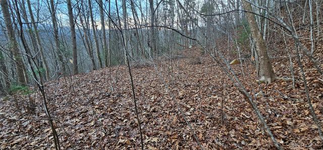 4 Lots Seay Mountain Road, Waynesville, NC 28785